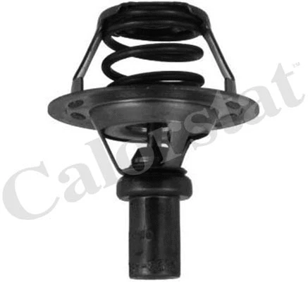 Thermostat, coolant (TH5284.86J)
