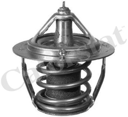 Thermostat, coolant (TH6736.82J)