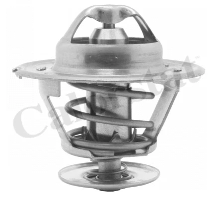 Thermostat, coolant (TH1418.72J)
