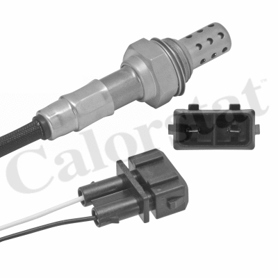 Lambda Sensor (LS110247)