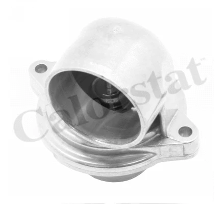Thermostat, coolant (TH7324.80J)