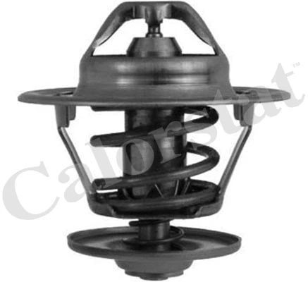 Thermostat, coolant (TH6248.87J)