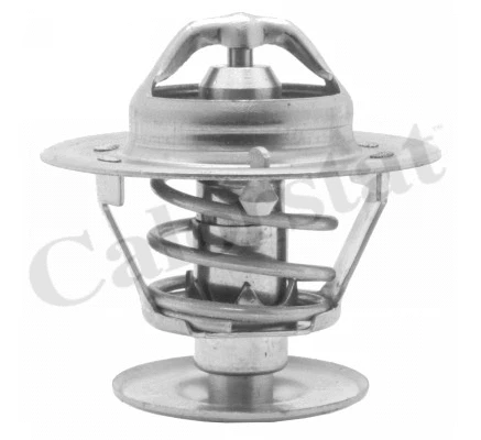 Thermostat, coolant (TH1400.90J)