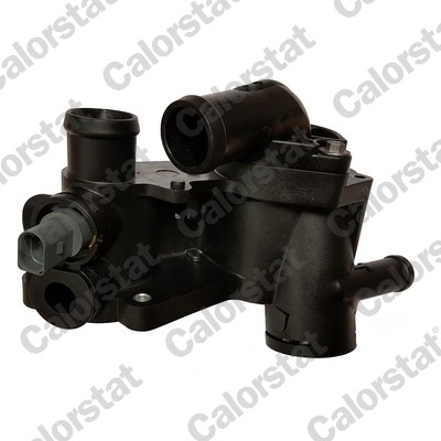 Thermostat, coolant (THK596201.83J)