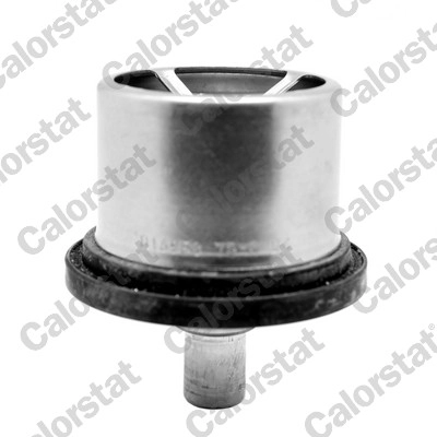 Thermostat, coolant (THS16958.76)