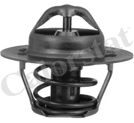 Thermostat, coolant (TH5955.88J)