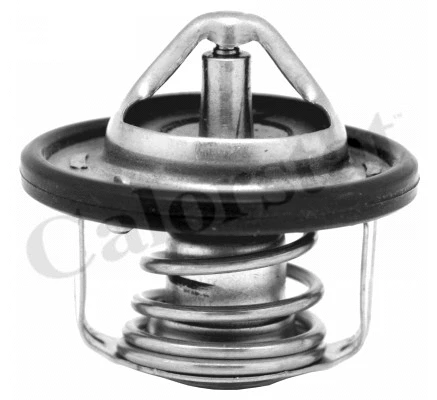 Thermostat, coolant (TH7184.82J)