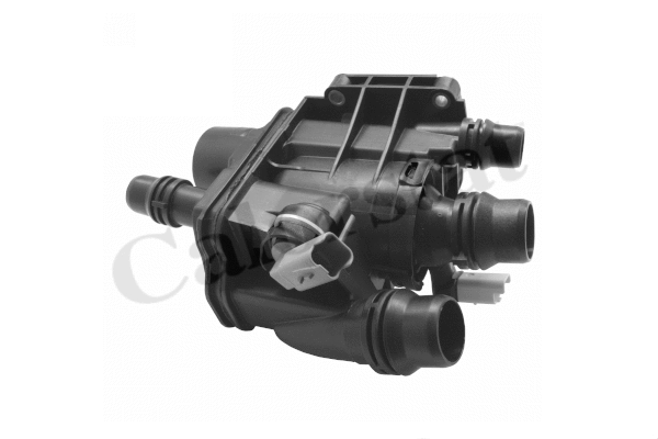 Thermostat, coolant (TE2113.97J)