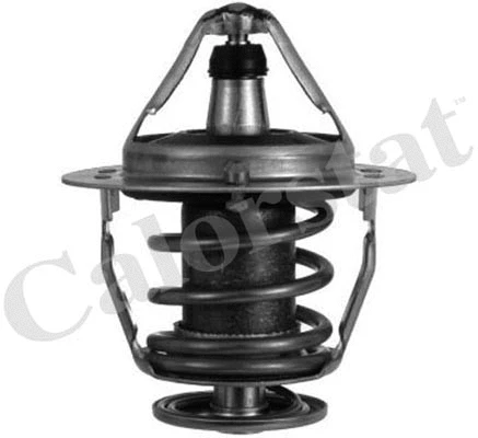 Thermostat, coolant (TH6520.82J)