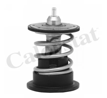 Thermostat, coolant (TH7088.87)
