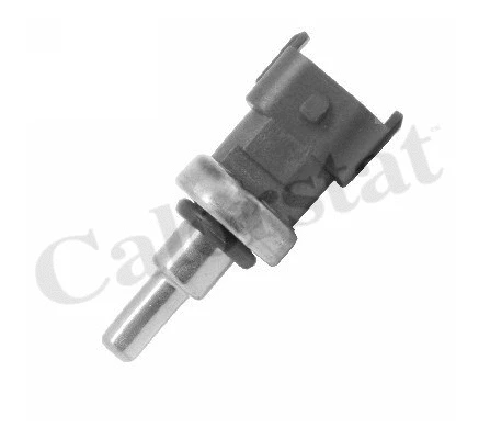 Sensor, coolant temperature (WS3169)