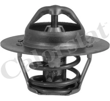 Thermostat, coolant (TH6318.89J)