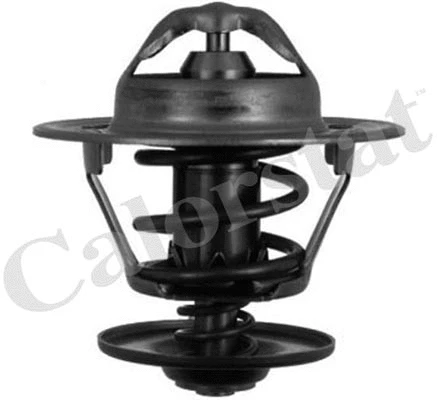 Thermostat, coolant (TH5151.84J)