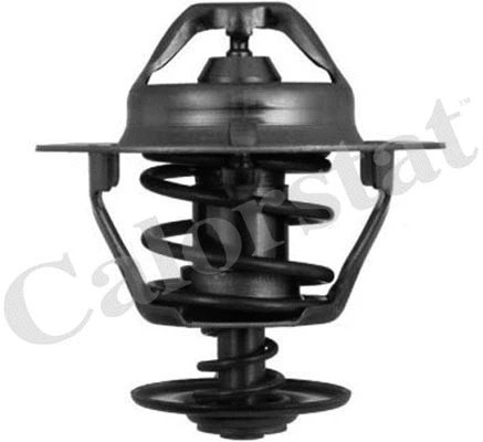 Thermostat, coolant (TH6319.82J)