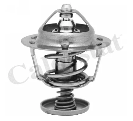 Thermostat, coolant (TH6702.82J)