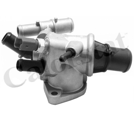 Thermostat, coolant (TH7175.88J)