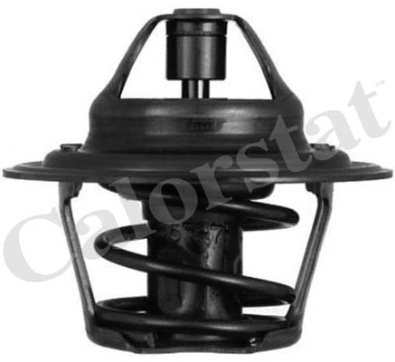Thermostat, coolant (TH1410.92J)