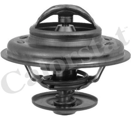 Thermostat, coolant (TH5111.88J)