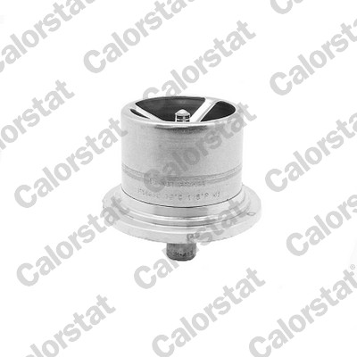 Thermostat, coolant (THS1294.79)
