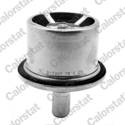 Thermostat, coolant (THS19099.87)