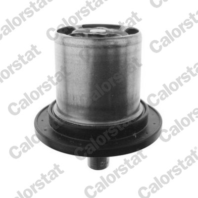 Thermostat, coolant (THS1743.82)
