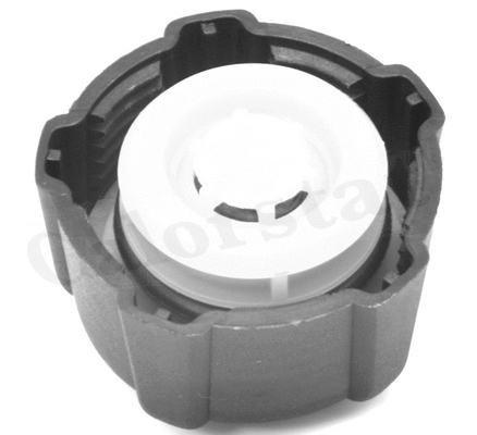 Cap, coolant tank