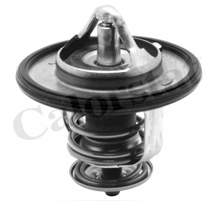 Thermostat, coolant (TH6587.82J)