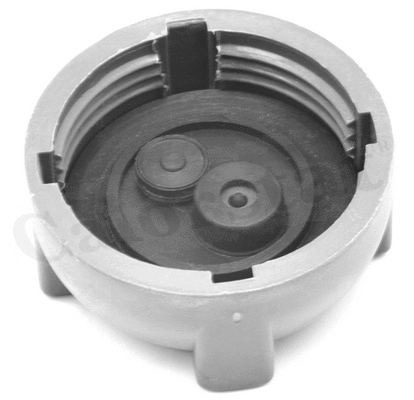 Cap, coolant tank