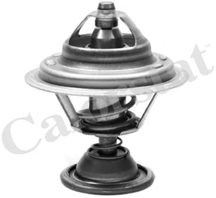 Thermostat, coolant (TH7007.82)