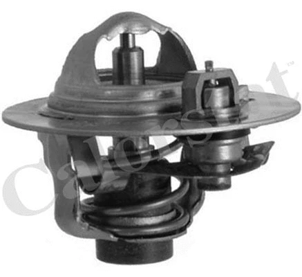 Thermostat, coolant (TH5980.88J)