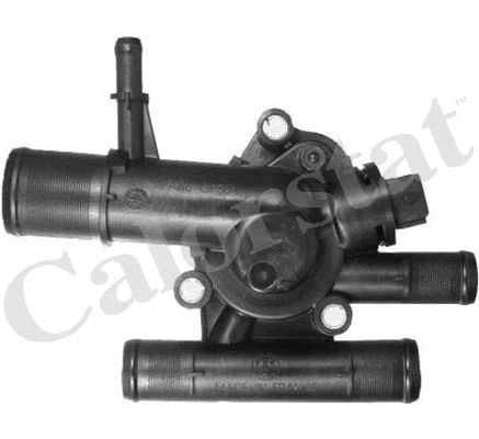 Thermostat, coolant (TH6454.89J)
