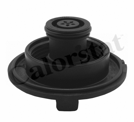 Expansion Tank, coolant