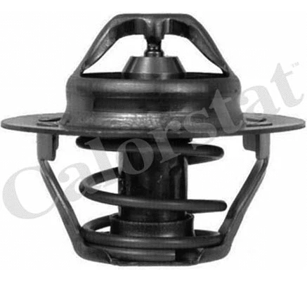 Thermostat, coolant (TH6045.89J)
