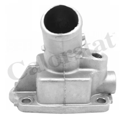 Thermostat, coolant (TH7305.79J)