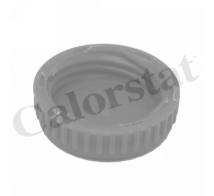 Cap, coolant tank
