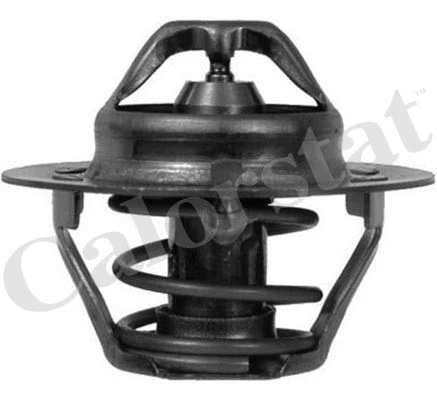 Thermostat, coolant (TH6310.88J)