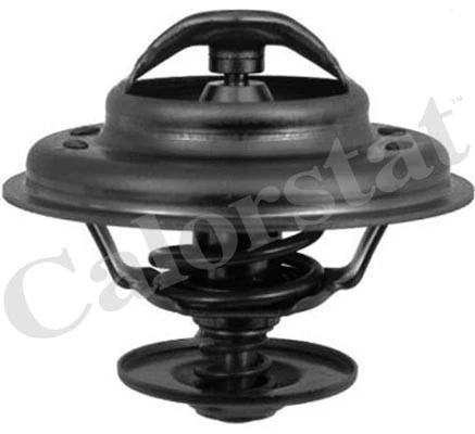 Thermostat, coolant (TH6243.92J)