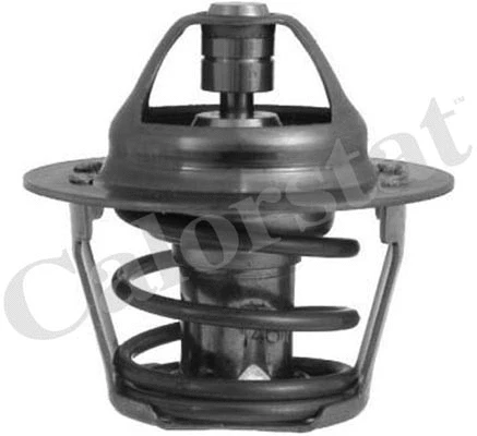 Thermostat, coolant (TH1248.80J)