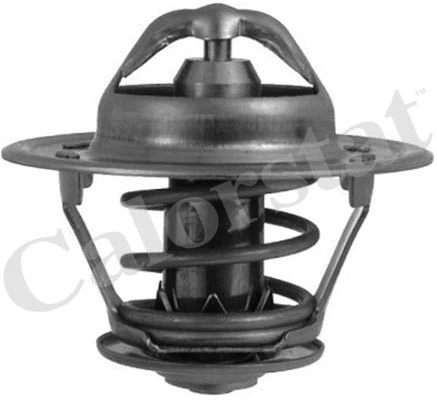 Thermostat, coolant (TH5241.83)