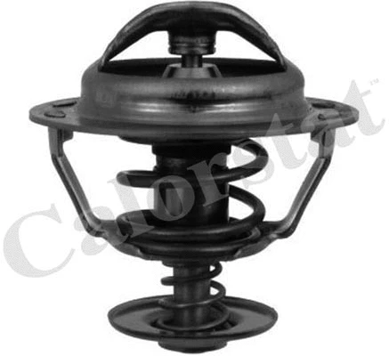 Thermostat, coolant (TH5353.83J)