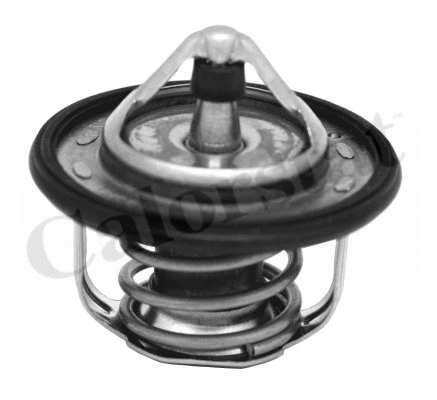 Thermostat, coolant (TH7300.95J)