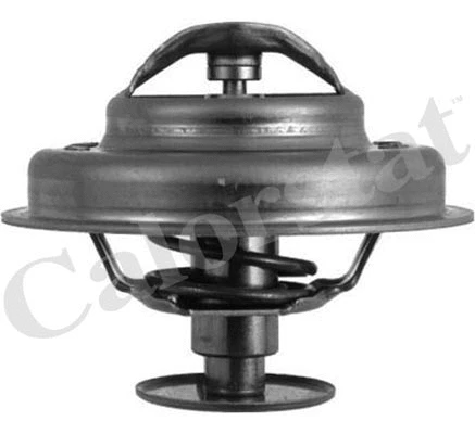 Thermostat, coolant (TH1547.88J)