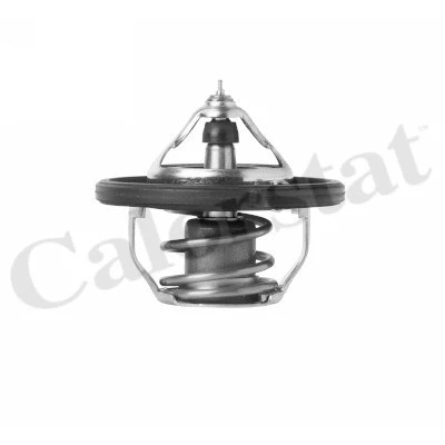 Thermostat, coolant (TH7392.88J)