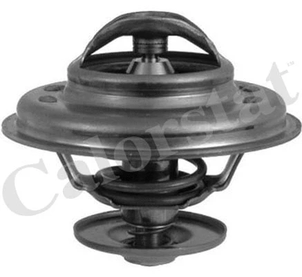 Thermostat, coolant (TH5968.87J)