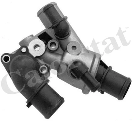 Thermostat, coolant (TH5976.80J)
