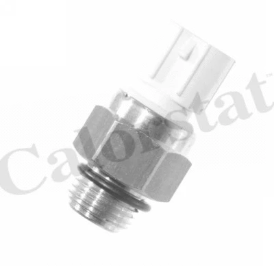 Temperature Switch, radiator fan (TS2442)