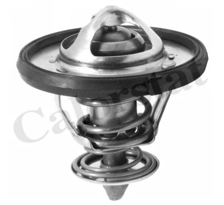 Thermostat, coolant (TH7310.77J)