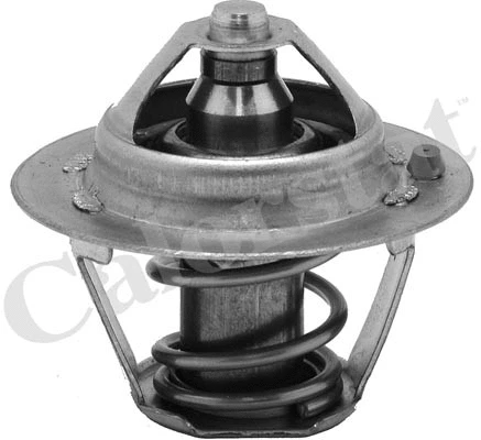 Thermostat, coolant (TH6245.82J)