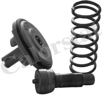 Thermostat, coolant (TH6965.87)