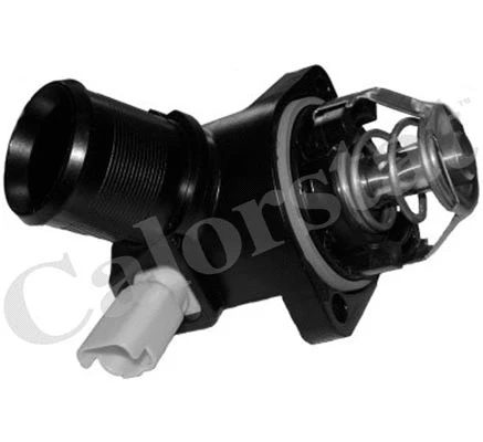 Thermostat, coolant (TE6808.103J)